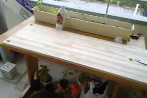 Pakkelia