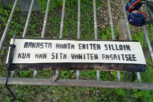 Höylätty