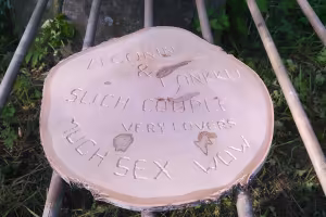 JA sitten hionta